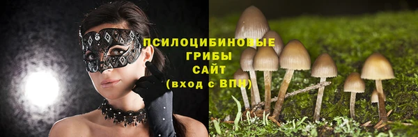 стаф Бугульма