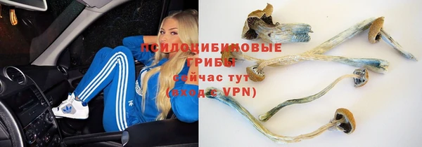 стаф Бугульма