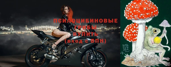 стаф Бугульма