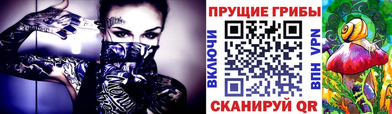 как найти наркотики  Мензелинск  дарк нет состав  Псилоцибиновые грибы мухоморы 
